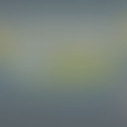 A Multi-Tenant LMS to Optimize the Customer Experience