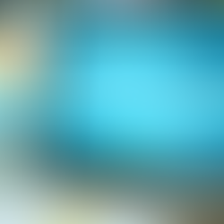 The Key Components of an Online Partner Training Program