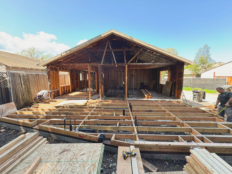 WhatsApp Image 2025-04-28 at 20.08_edited.jpg