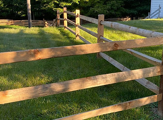 locust rail fence_edited.jpg