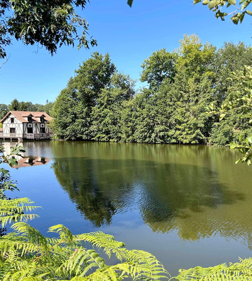 Des vacances au calme et en pleine nature en Dordogne
