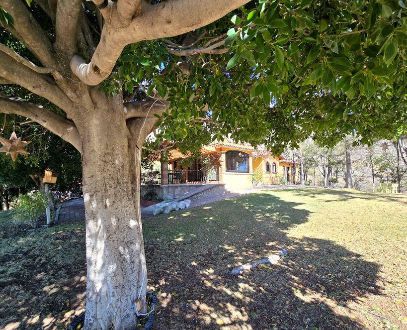 Jardín pet friendly en casa de campo cerca de León