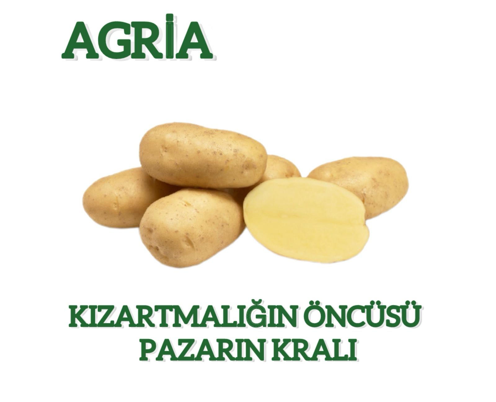 AGRİA