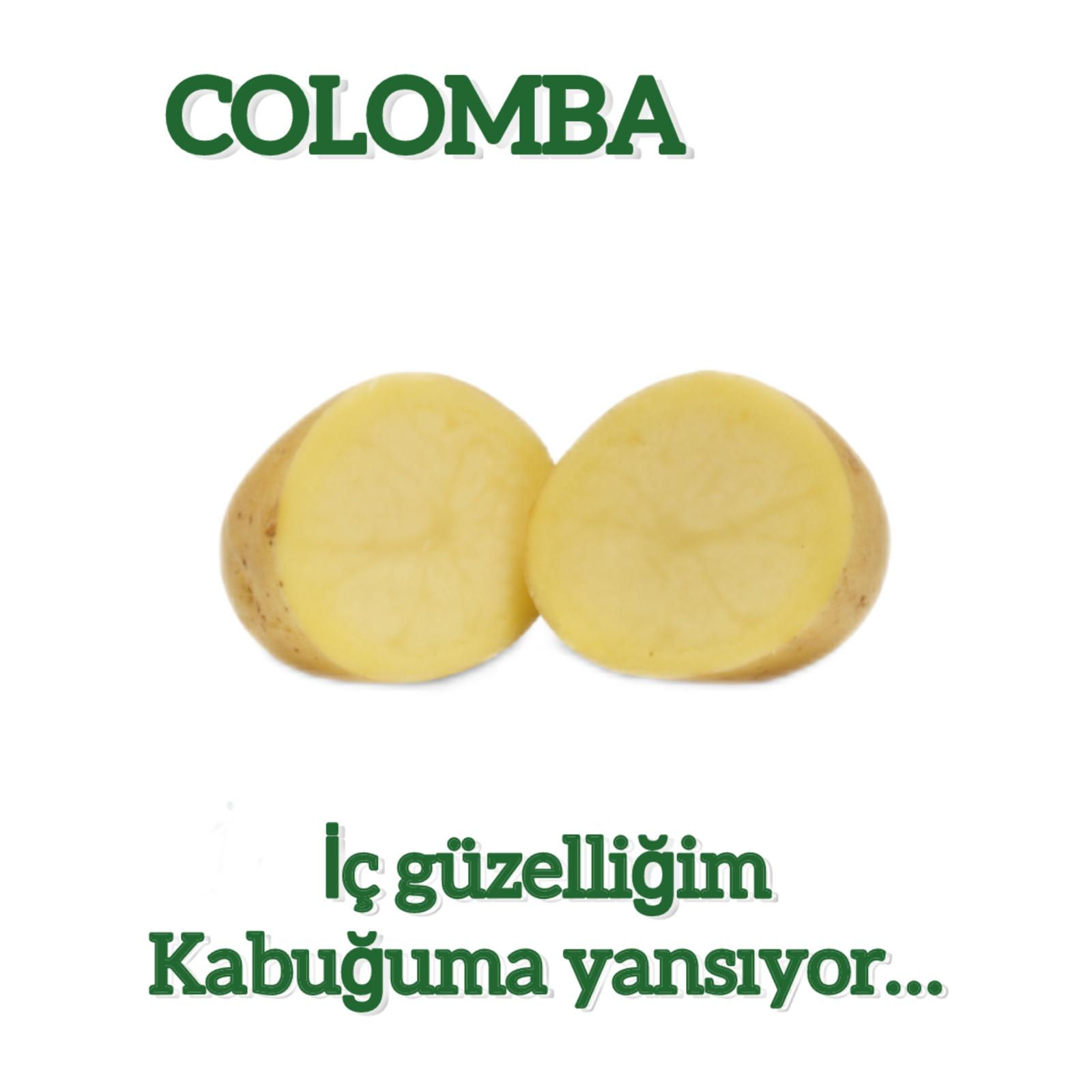 COLOMBA