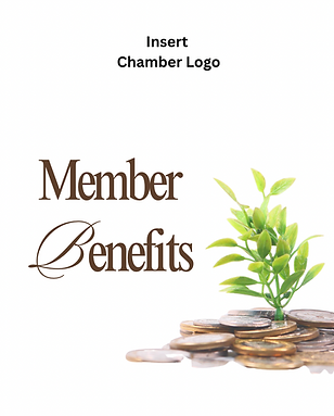 Screen Shot 2025-12-10 at 7.33.14 PM.png