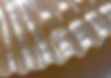 17_edited.jpg
