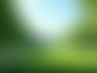 What to Expect During Adult ADHD Testing in Fort Lauderdale