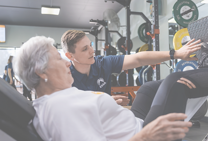 Screenshot 2025-05-14 163151_edited.png