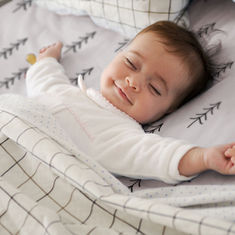 Sweet Dreams 
