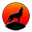 Coyote Analytics