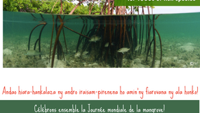 LET'S CELEBRATE THE WORLD MANGROVE DAY!