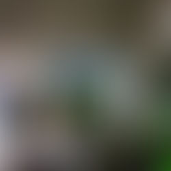 Alto Radio, Leeds, UK