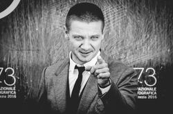 jeremy renner copia