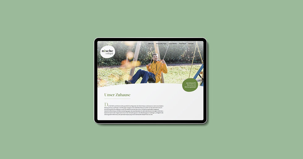 Screenshot Website Webdesign Corporate Design Stiftung Nische