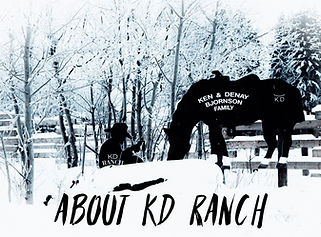 Who we are at KD Ranch Alberta