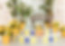 CHRISTINAMCDANIEL LEMON BREEZE -12.jpg
