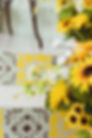 CHRISTINAMCDANIEL LEMON BREEZE -02.jpg