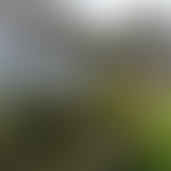 unauthorized wildfire in lebanon