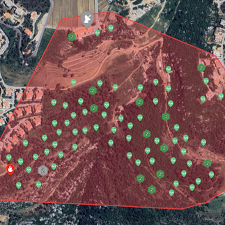 dryad cloud platform alerting of a fire