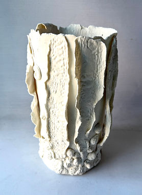 Large Seaweed Vessel