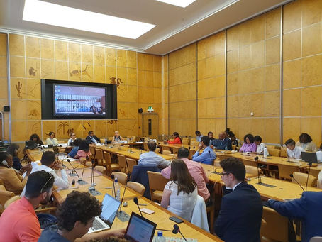 The SIG participates in a women's rights symposium in Geneva