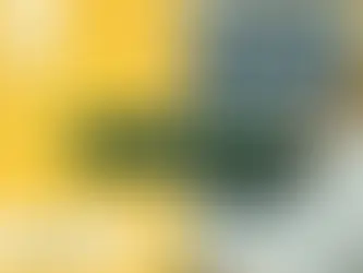 Anomaly Scan Checklist: What to Expect & How to Prepare