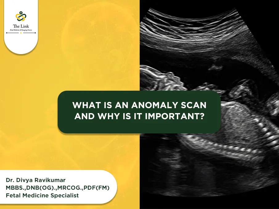 What Is an Anomaly Scan and Why Is It Important?