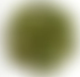 Cardamom