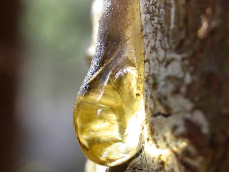 Elemi