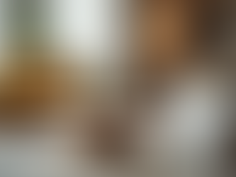 Decoração Elegante: Dicas para a Casa Moderna