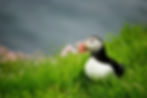 IMG_2765b