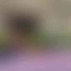 Puttin On The Pink team at the 2025 Promise Run supporting breast cancer survivors