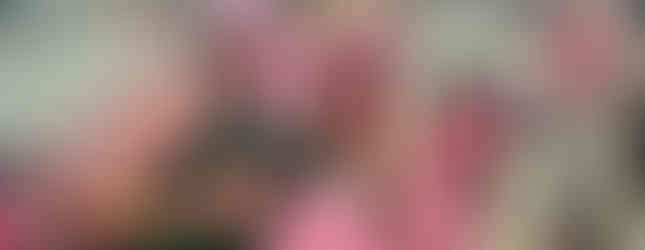 Male participants in the Brotherhood of Pinkness fashion show supporting breast cancer awareness