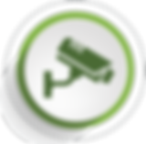 regulus electronic service application in security