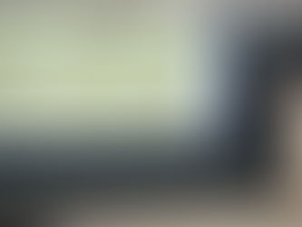 Amapá alinha participação na COP 30 e projeta protagonismo ambiental