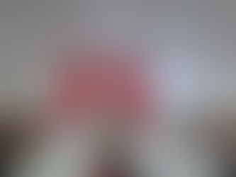 Amapá e Guiana Francesa realizam reunião de cooperação de socorro e emergência transfronteiriça