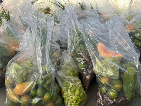 Conab entrega kits de alimentos da agricultura familiar para 300 famílias