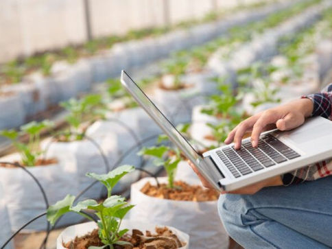 Governo do Amapá garante R$ 3 milhões em financiamento federal para desenvolver negócios inovadores no estado