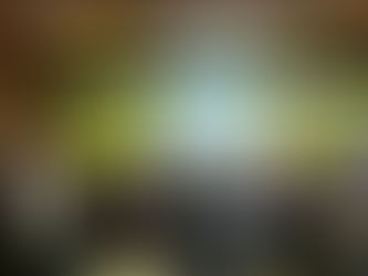 Seminário reúne profissionais da saúde e especialistas para debater prevenção da mortalidade materna no Amapá