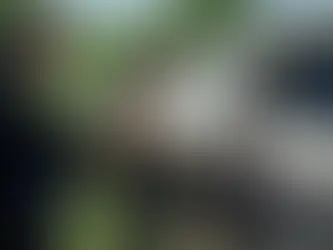 "Operação Defeso Seguro" já apreende mais de 1,4 tonelada de pescado ilegal no Amapá