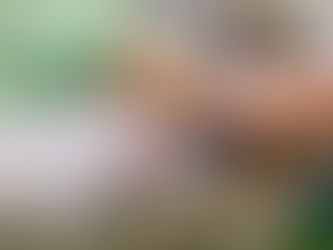 Hemoap alerta para atualização cadastral de doadores de medula óssea no Amapá