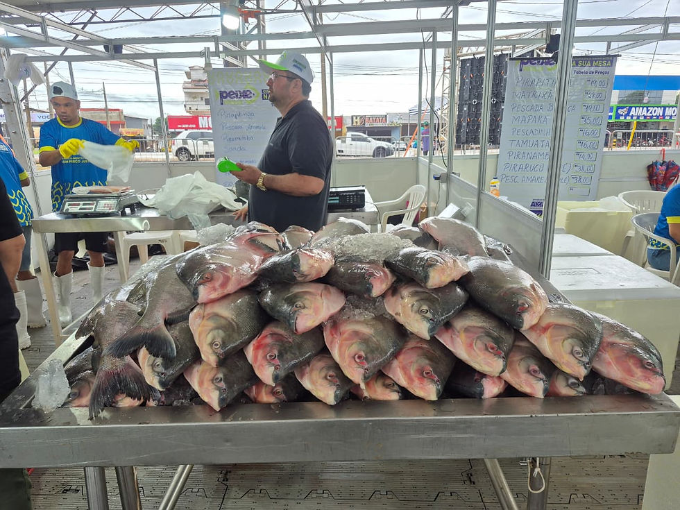 Os peixes custam entre R$ 11 e R$ 28 e os filés de R$ 28 a R$ 40