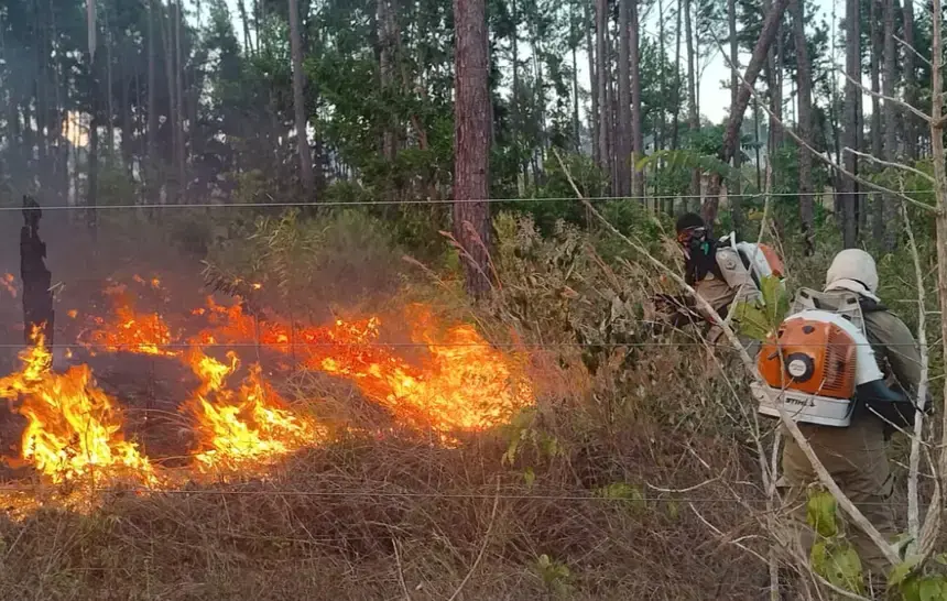 Amapá registra queda nos números de queimadas