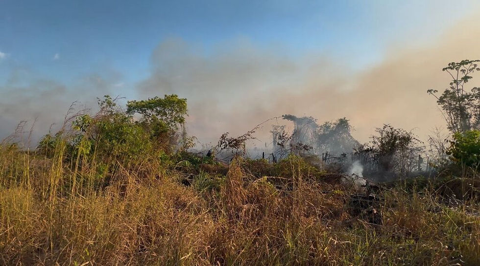 A Defesa Civil alerta que a queima de lixo, restos de poda ou mato seco é considerada crime ambiental
