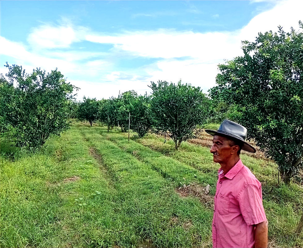 A convivência com a família no campo inspirou a escolha de continuar na produção de alimentos, tendo as feiras livres como principal fonte de sustento