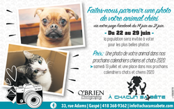 Montage publicité pour journal