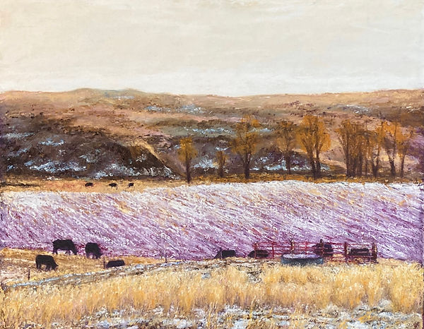 winter pasture.jpg