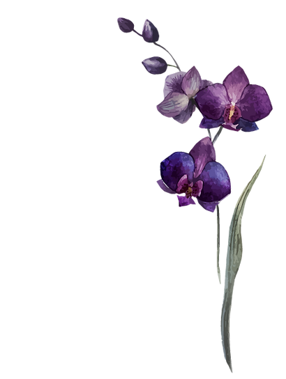 Purple Flowers