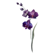 Purple Flowers