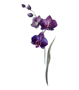 Purple Flowers
